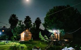 Gea Tree House